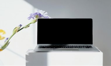 Birinci Sınıf Kaliteli Notebook Ekranı: İhtiyaçlarınızı Karşılamak İçin İdeal Seçenekler