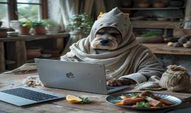 Laptopum Neden Çok Isınıyor?