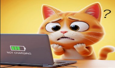 Laptopumun Şarjı Bazen Duruyor, Bu Bir Sorun mu?